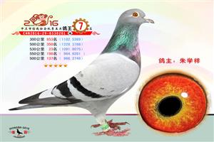 �����������Ÿ�Э��