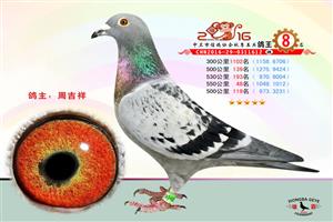 �����������Ÿ�Э��