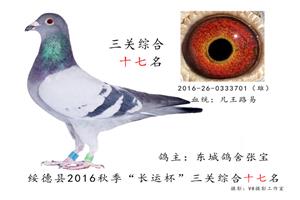 ��������������Ÿ�Э��