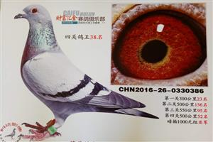 ��������������Ÿ�Э��