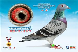 ����ʡ�������Ÿ�Э��