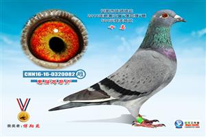 ����ʡ�������Ÿ�Э��