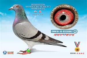 ����ʡ�������Ÿ�Э��