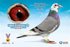 ����ʡ�������Ÿ�Э��