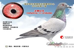 ����ʡʯ�����Ÿ�Э��