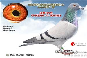 ����ʡʯ�����Ÿ�Э��