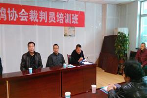 �½�ʯ�������Ÿ�Э��