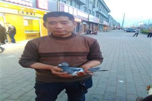 ��ǿ�ػ����Ÿ�Э��