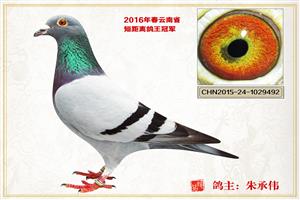 ������ͨ���Ÿ�Э��