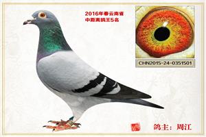 ������ͨ���Ÿ�Э��