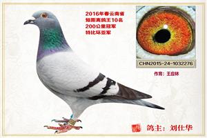 ������ͨ���Ÿ�Э��