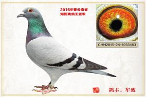 ������ͨ���Ÿ�Э��