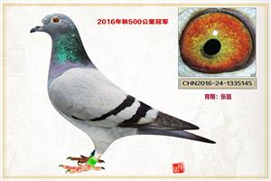 ������ͨ���Ÿ�Э��