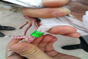 ɽ��ʡ̩�����Ÿ�Э��