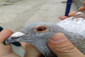 ɽ��ʡ̩�����Ÿ�Э��