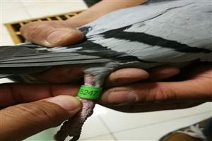 ɽ��ʡ̩�����Ÿ�Э��