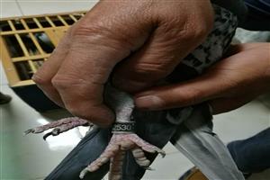 ɽ��ʡ̩�����Ÿ�Э��