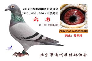 ������ͨ�����Ÿ�Э��