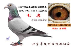 ������ͨ�����Ÿ�Э��