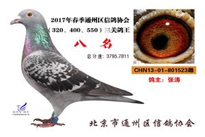 ������ͨ�����Ÿ�Э��