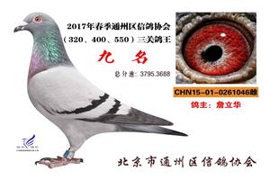 ������ͨ�����Ÿ�Э��