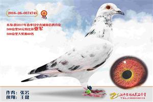 ����ʡ�������Ÿ�Э����Ϸֻ�