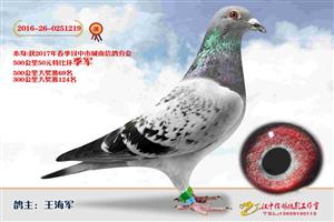 ����ʡ�������Ÿ�Э����Ϸֻ�