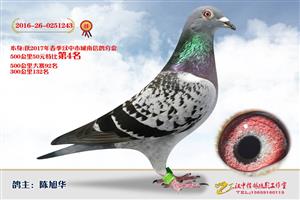 ����ʡ�������Ÿ�Э����Ϸֻ�