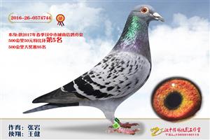 ����ʡ�������Ÿ�Э����Ϸֻ�