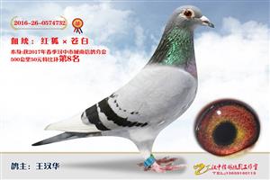 ����ʡ�������Ÿ�Э����Ϸֻ�