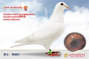 ����ʡ�������Ÿ�Э����Ϸֻ�