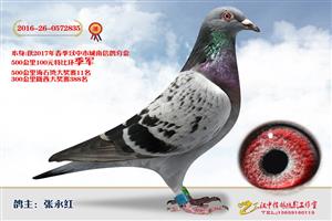 ����ʡ�������Ÿ�Э����Ϸֻ�