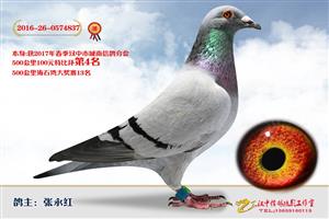 ����ʡ�������Ÿ�Э����Ϸֻ�