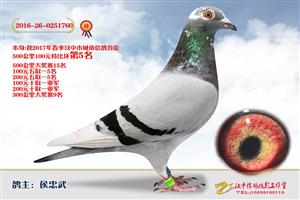 ����ʡ�������Ÿ�Э����Ϸֻ�