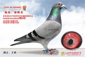 ����ʡ�������Ÿ�Э����Ϸֻ�