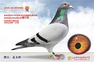 ����ʡ�������Ÿ�Э����Ϸֻ�