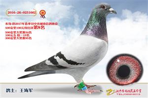 ����ʡ�������Ÿ�Э����Ϸֻ�