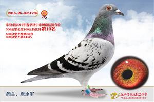 ����ʡ�������Ÿ�Э����Ϸֻ�