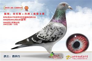 ����ʡ�������Ÿ�Э����Ϸֻ�