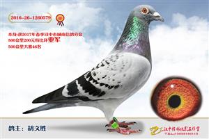 ����ʡ�������Ÿ�Э����Ϸֻ�