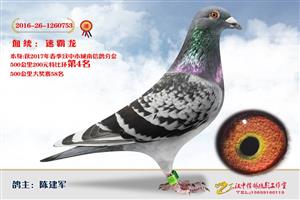 ����ʡ�������Ÿ�Э����Ϸֻ�