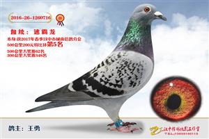 ����ʡ�������Ÿ�Э����Ϸֻ�