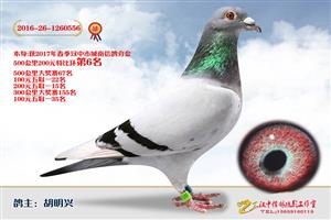 ����ʡ�������Ÿ�Э����Ϸֻ�