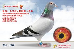 ����ʡ�������Ÿ�Э����Ϸֻ�