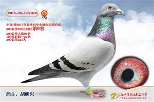 ����ʡ�������Ÿ�Э����Ϸֻ�