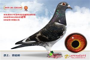 ����ʡ�������Ÿ�Э����Ϸֻ�