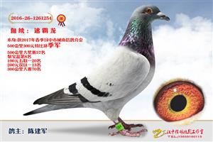 ����ʡ�������Ÿ�Э����Ϸֻ�