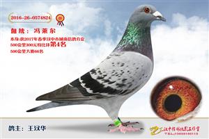 ����ʡ�������Ÿ�Э����Ϸֻ�