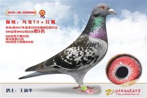 ����ʡ�������Ÿ�Э����Ϸֻ�