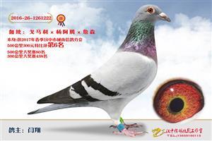 ����ʡ�������Ÿ�Э����Ϸֻ�